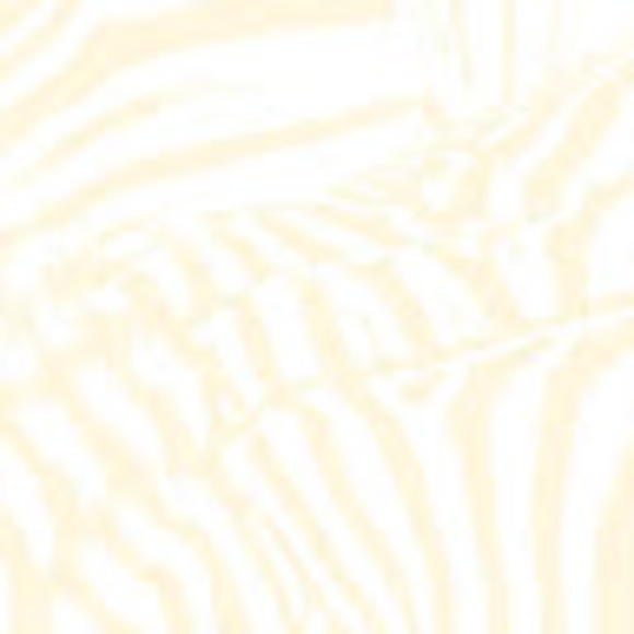 Meet your Posher, Celina - Picture 1 of 1